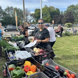 491356598_1246910814105653_2891528215056680129_n